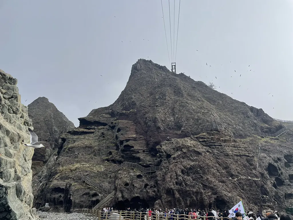 Seabirds resting on the cliffs of Dokdo, a symbol of Korea’s sovereignty.